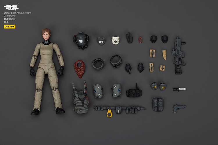 Stellar Scar Assault Team Gravelgold - view 10