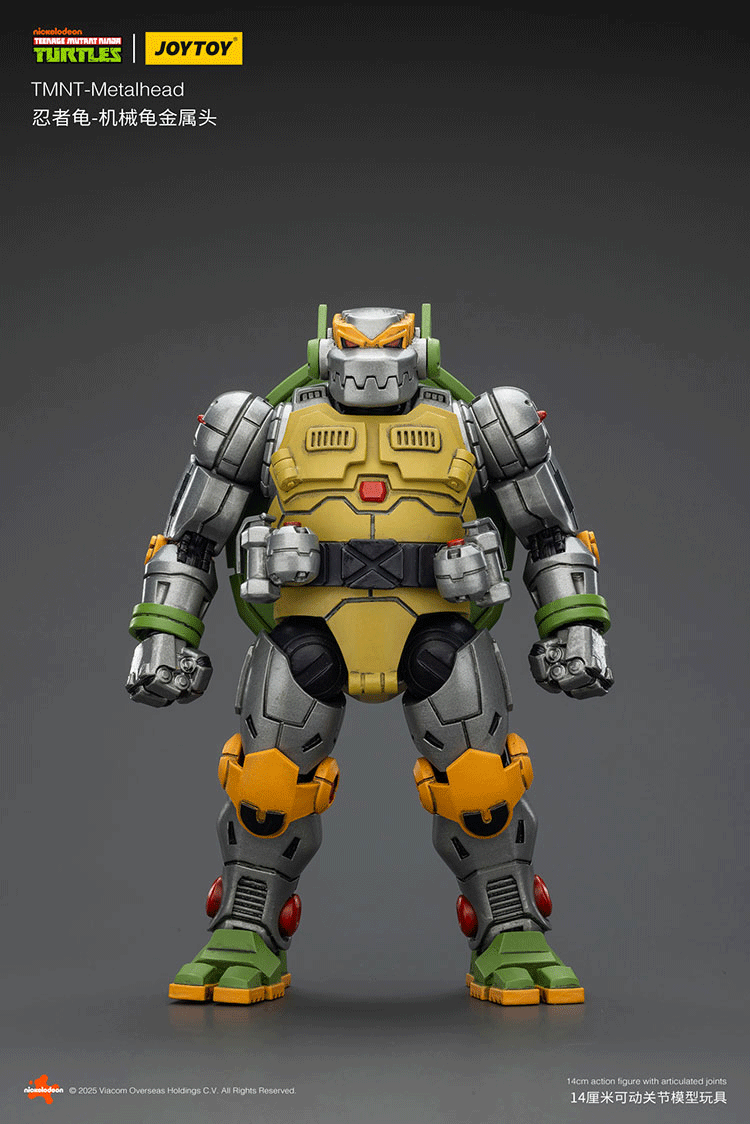 TMNT-Metalhead - main product image