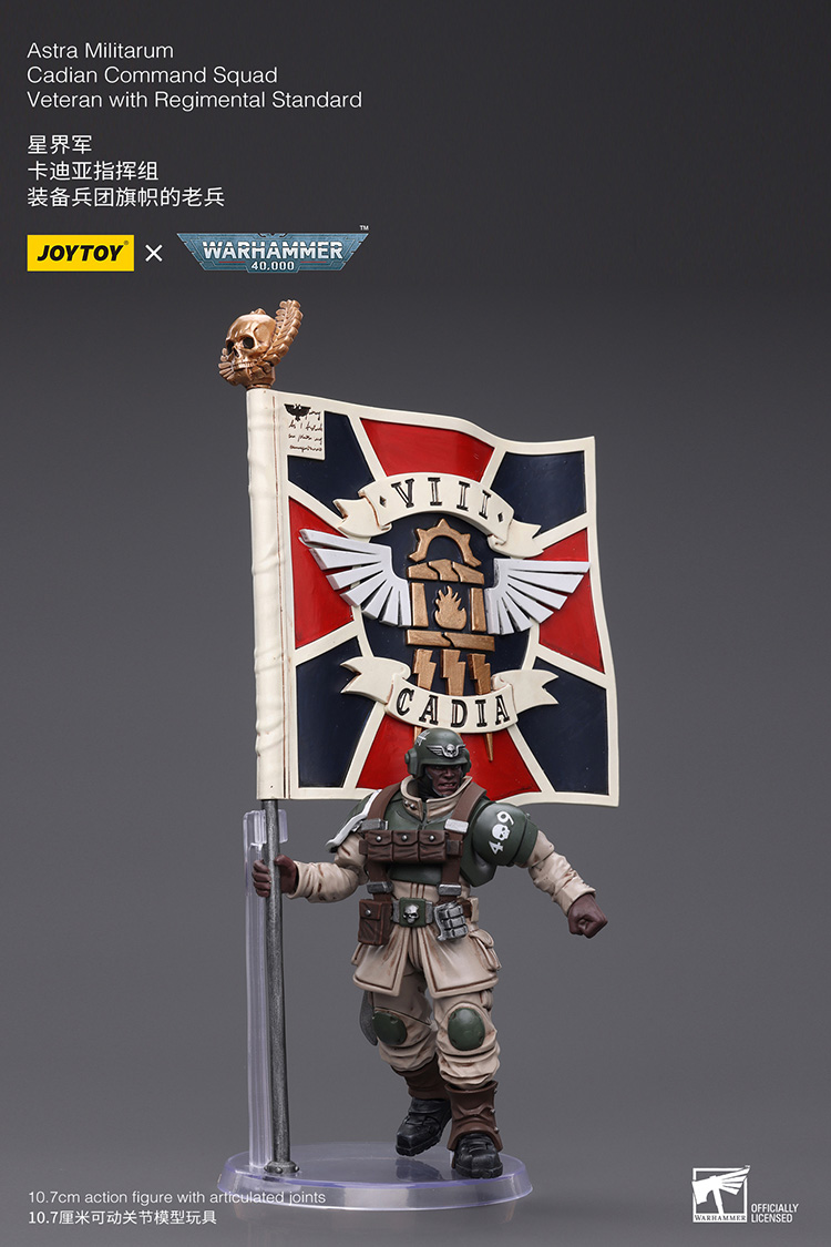 Astra Militarum Cadian Command Squad Veteran with Regimental Standard - view 7