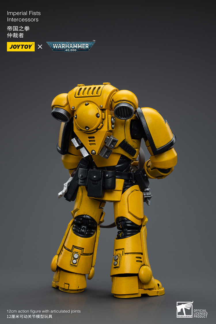 Imperial Fists Intercessors - view 2