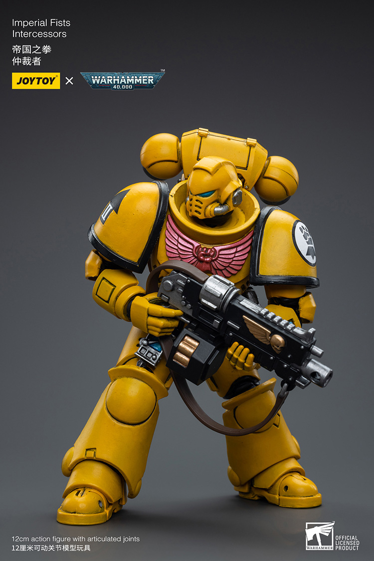 Imperial Fists Intercessors - view 5