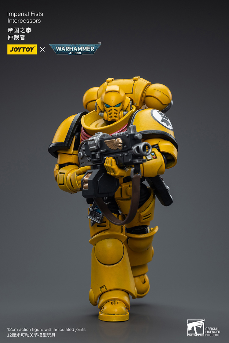 Imperial Fists Intercessors - view 6