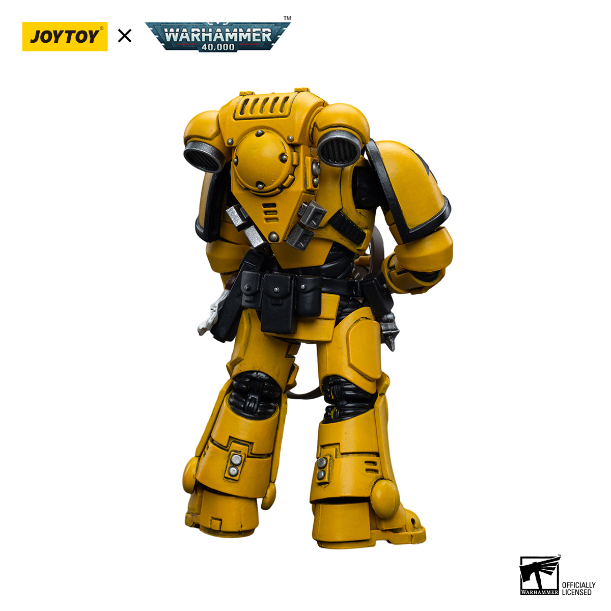 Imperial Fists Intercessors - view 13