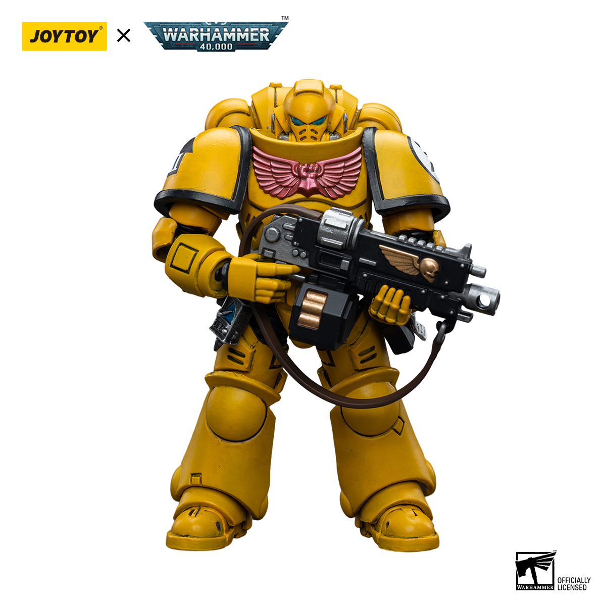Imperial Fists Intercessors - view 15