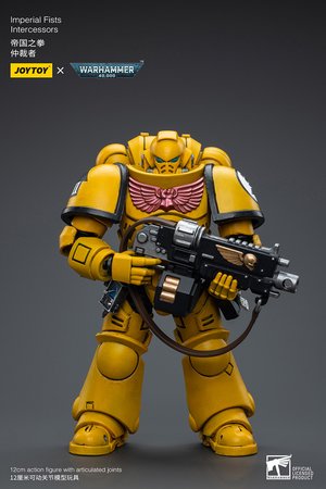 Imperial Fists Intercessors - Premium action figure - $24.99