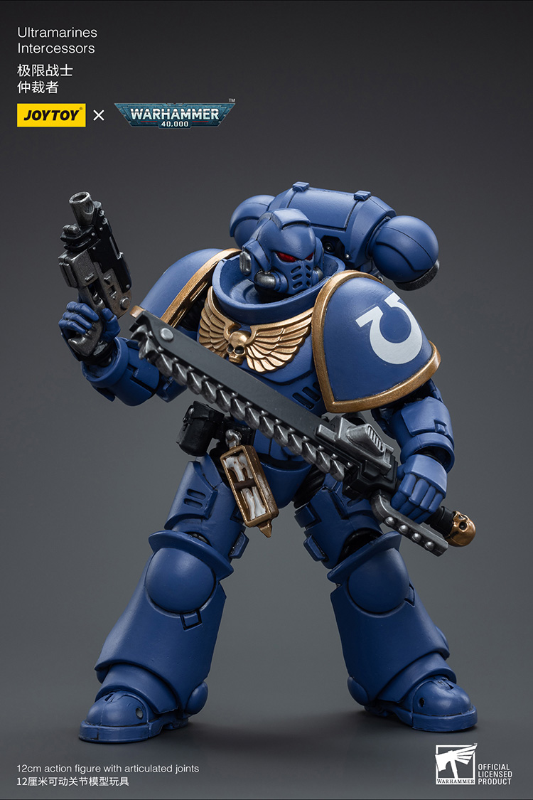 Ultramarines Intercessors - view 3