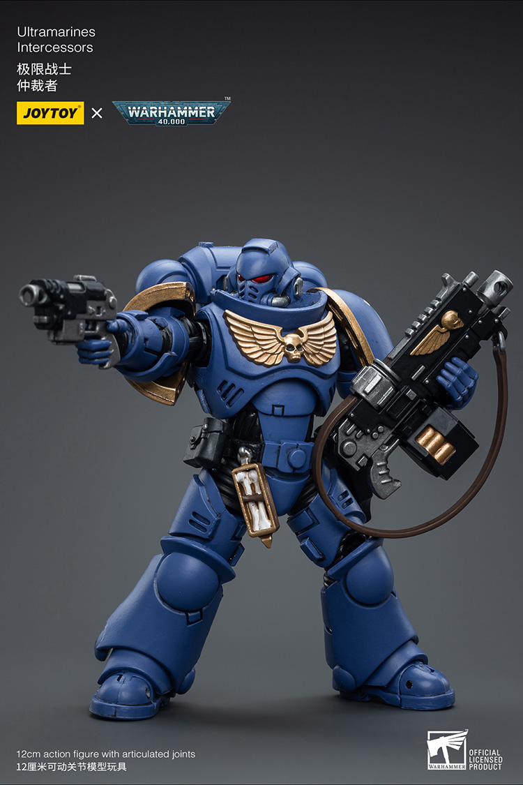 Ultramarines Intercessors - view 5