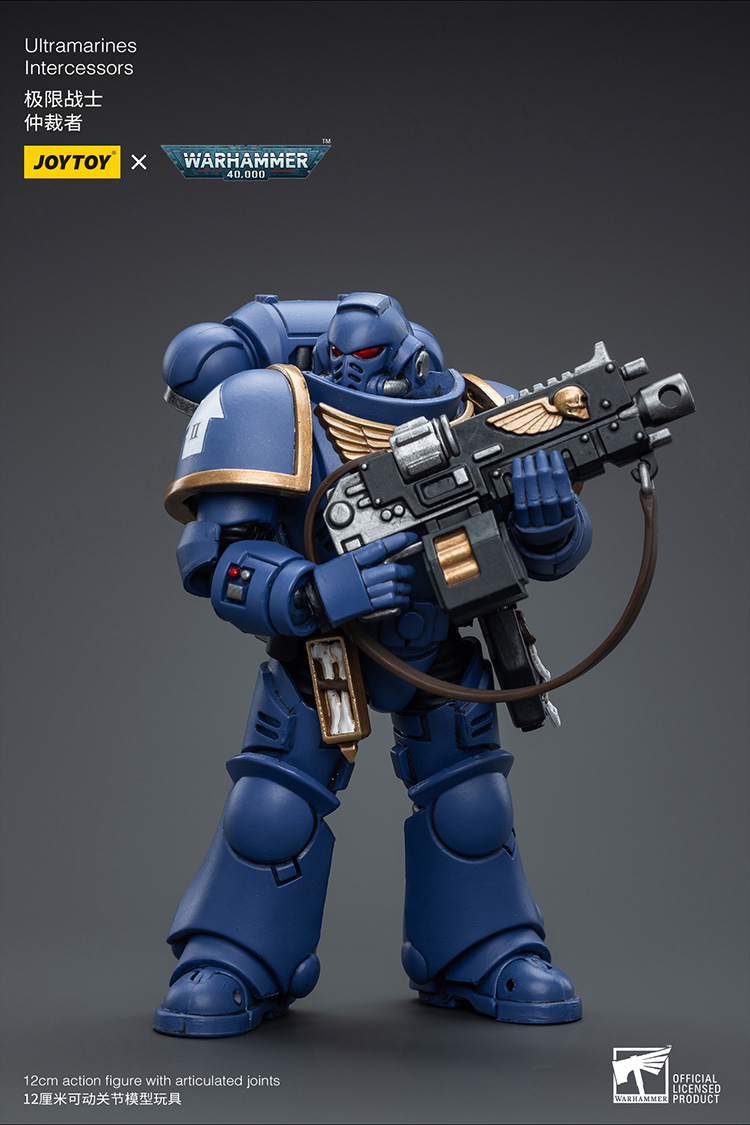 Ultramarines Intercessors - view 7