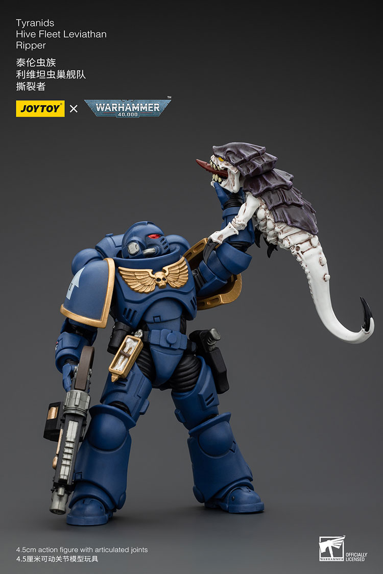 Ultramarines Intercessors - view 8