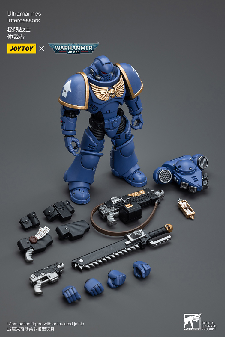 Ultramarines Intercessors - view 9