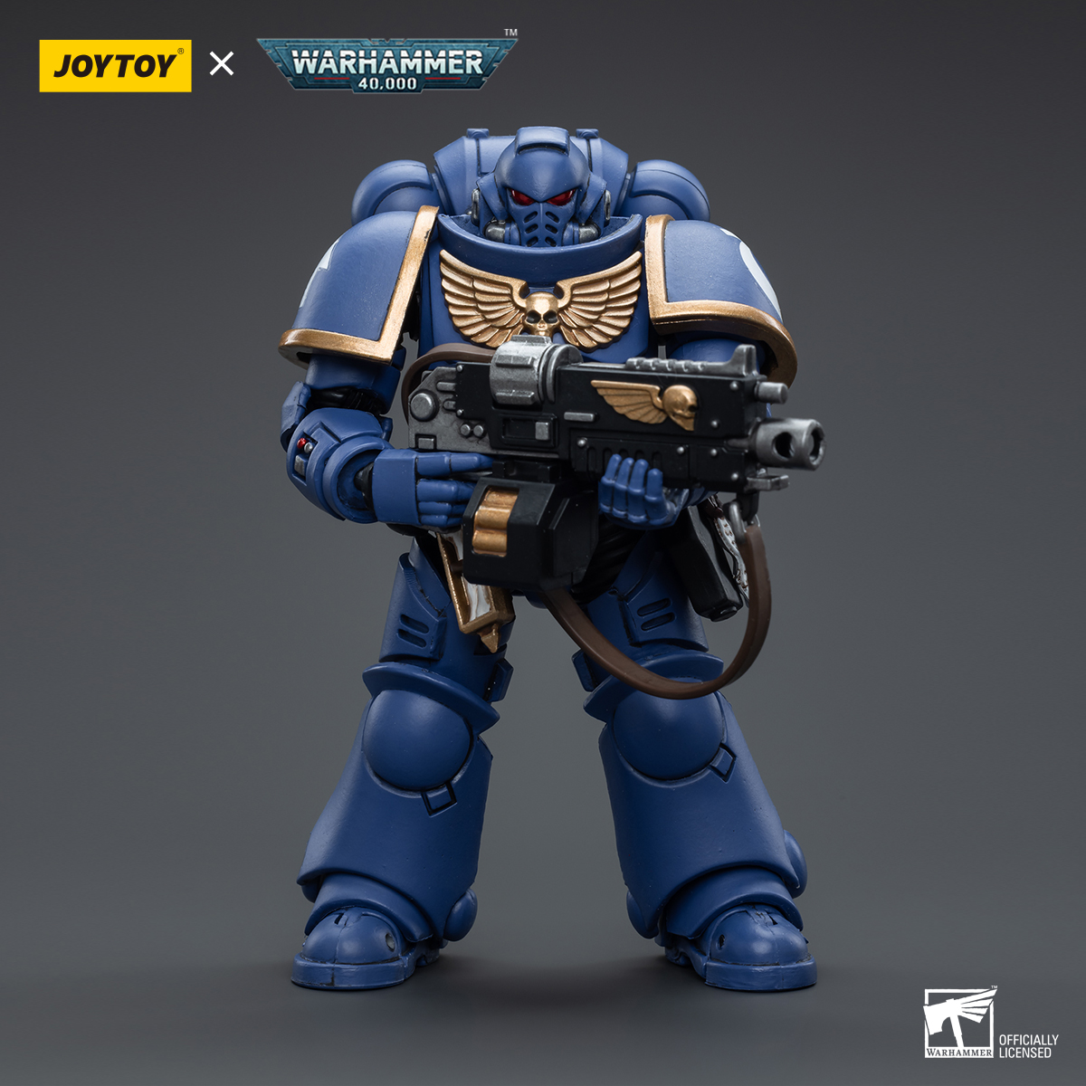 Ultramarines Intercessors - view 10