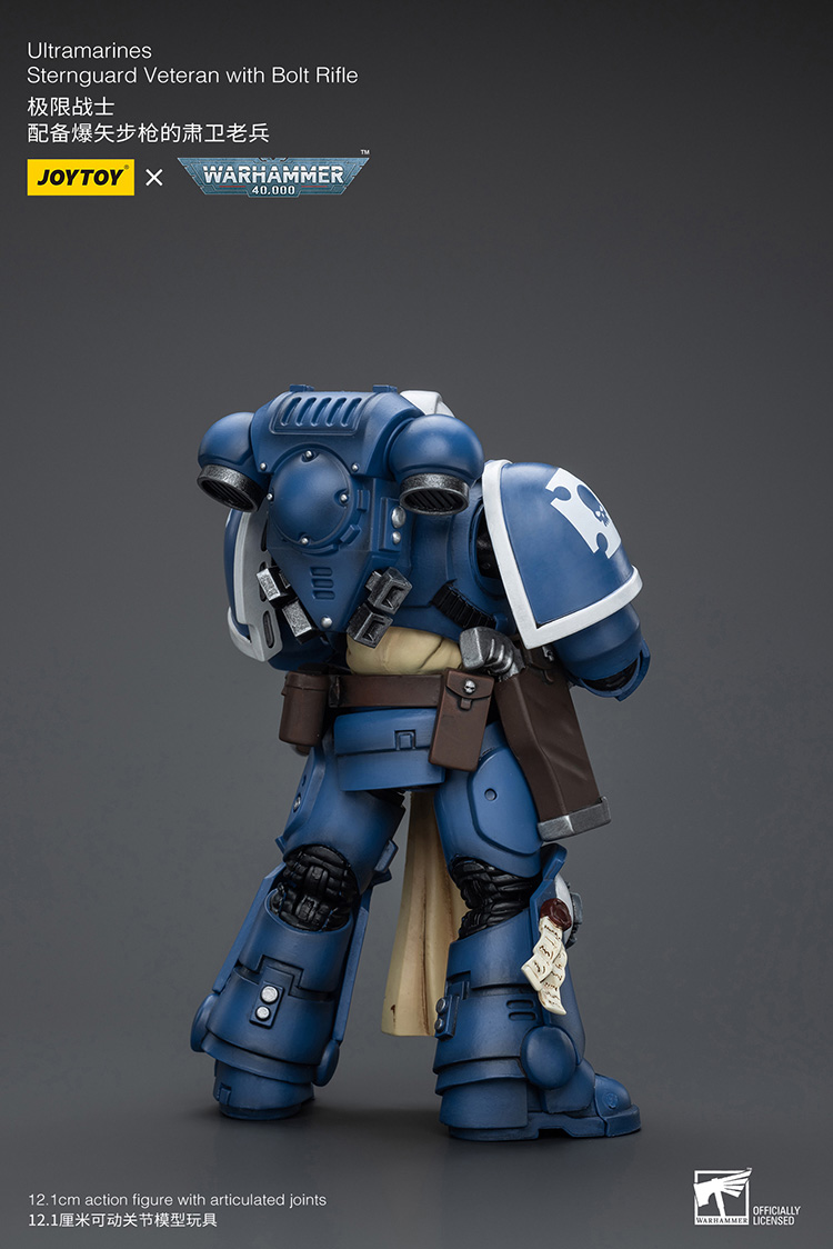 Ultramarines Sternguard Veteran with Bolt Rifle - view 2